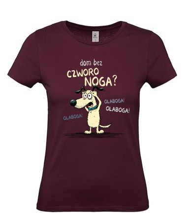 Dom bez czworonoga [pies]