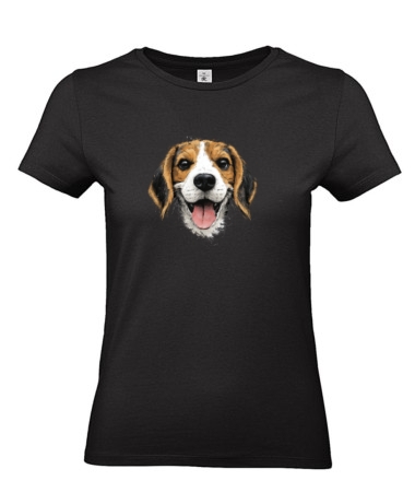 Beagle