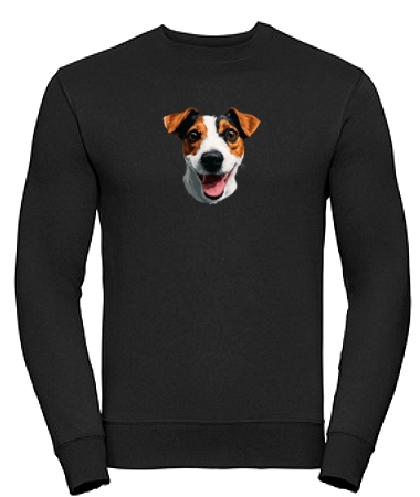 Jack Russell terrier