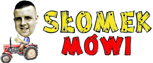 slomek.koszulker.pl